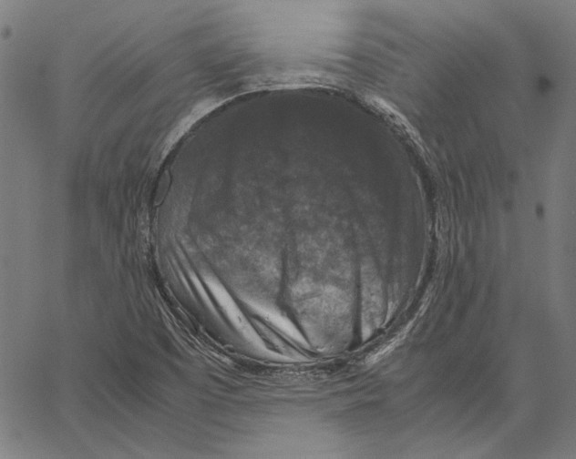 X0000062151457200601060936