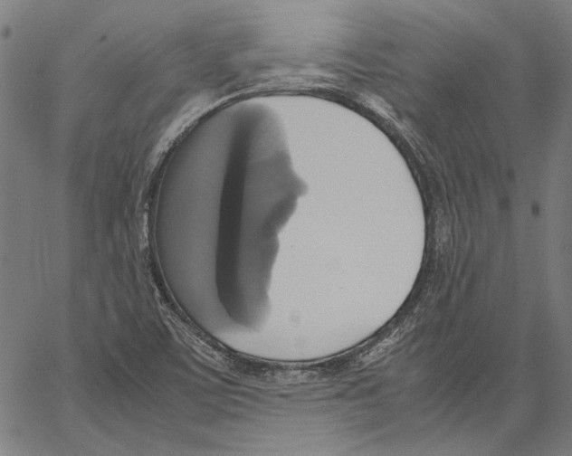 X0000062151459200601060936