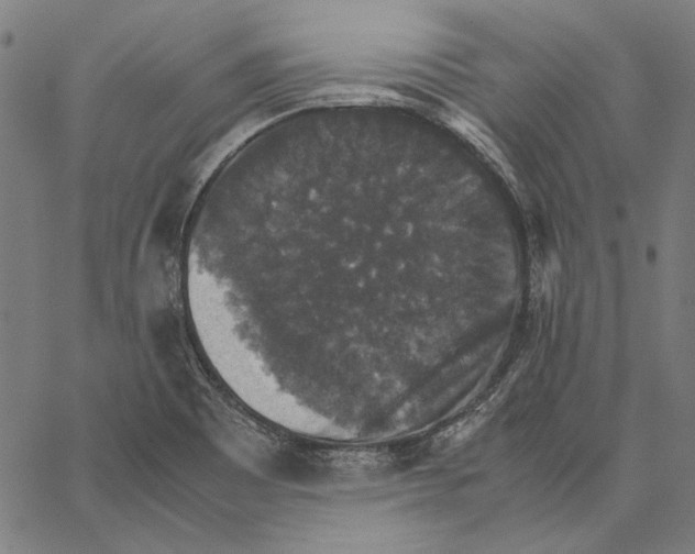 X0000062151465200601060936