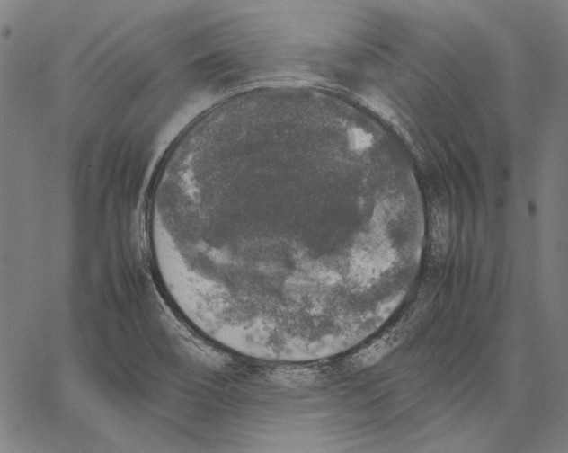 X0000062151466200601060936