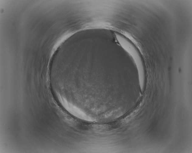 X0000062151469200601060936
