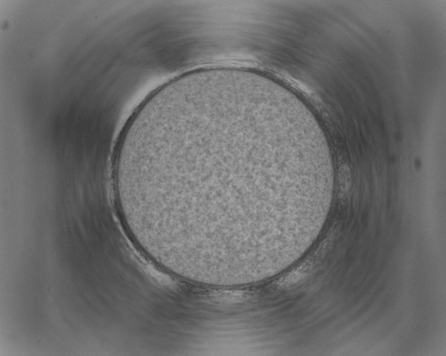X0000062151470200601060936