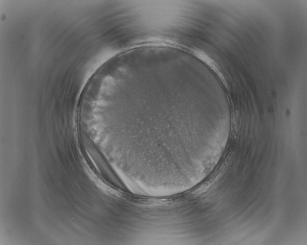 X0000062151482200601060936