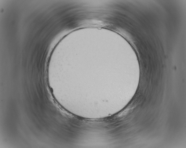 X0000062151488200601060936