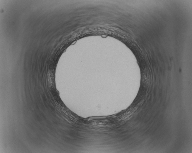 X0000062151490200601060935