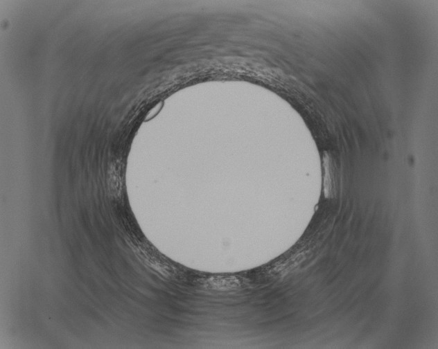 X0000062151491200601060935