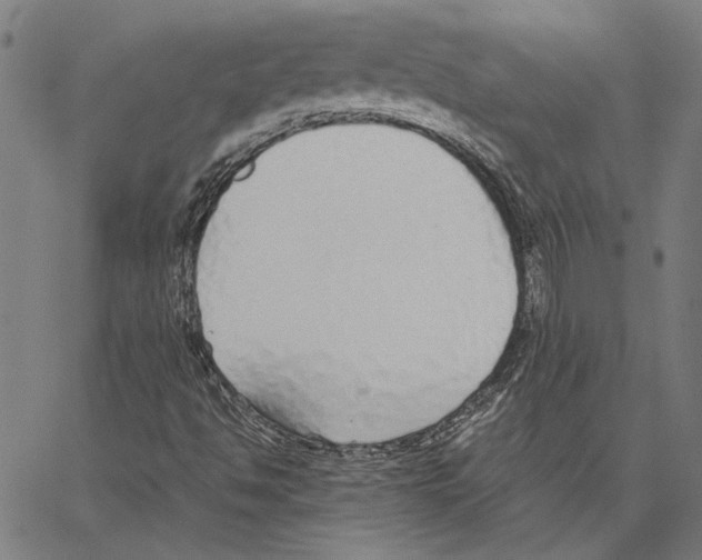 X0000062151494200601060935