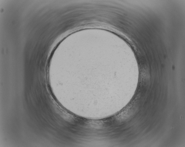 X0000062151514200601060936