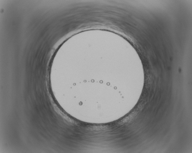 X0000062151518200601060936