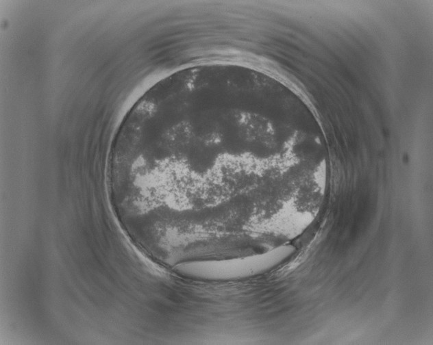 X0000062151533200601060936