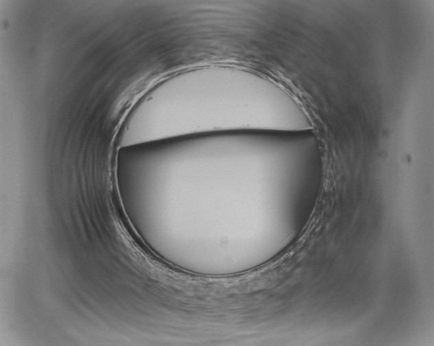 X0000062170002200512091103