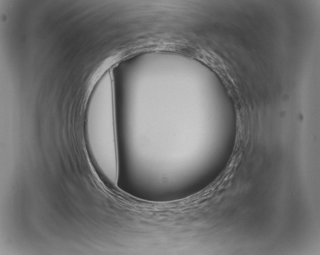 X0000062170003200512091103