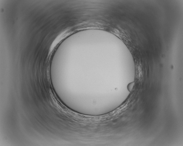 X0000062170004200512091103