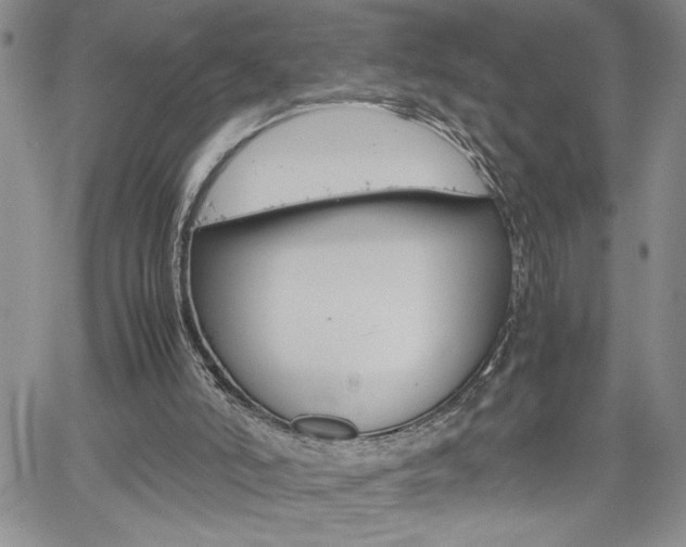 X0000062170006200512091102