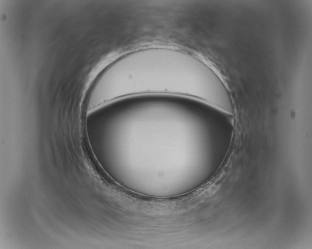 X0000062170008200512091102