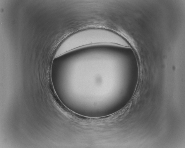 X0000062170009200512091102