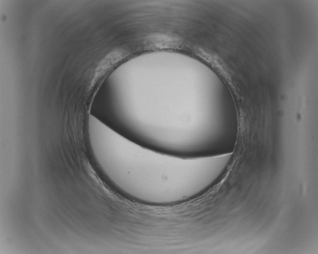 X0000062170010200512091102
