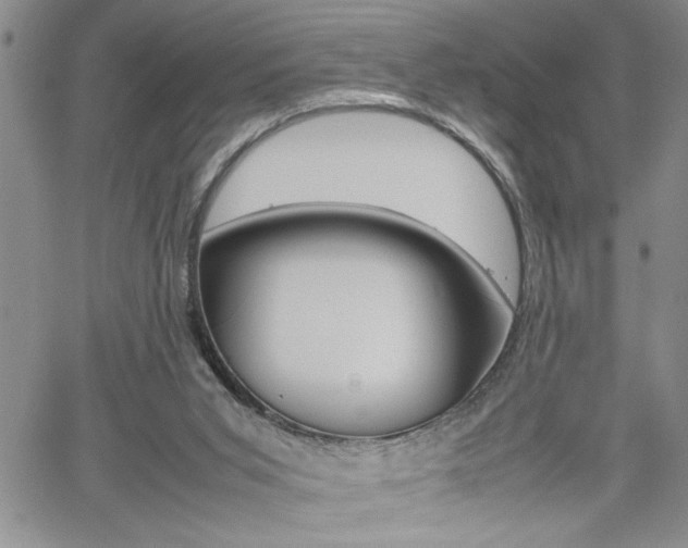 X0000062170015200512091102