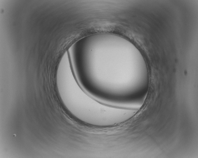 X0000062170017200512091102