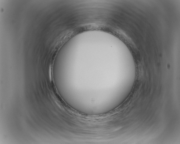 X0000062170022200512091102