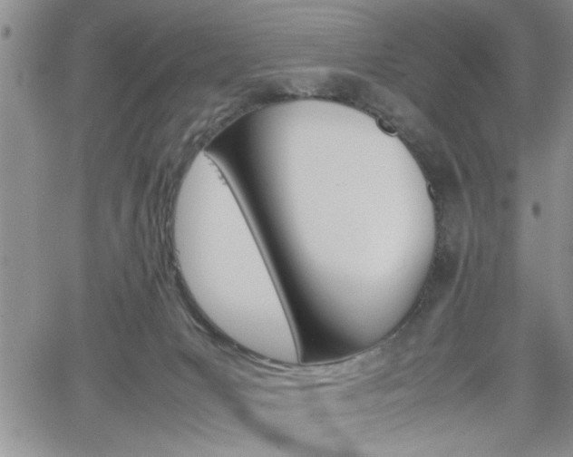 X0000062170031200512091102