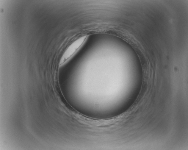 X0000062170035200512091102