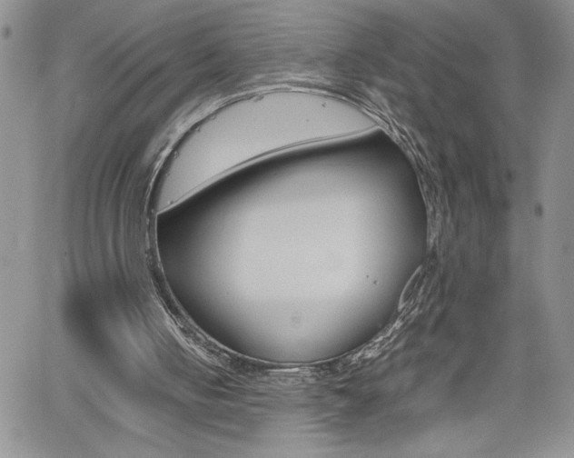 X0000062170050200512091101