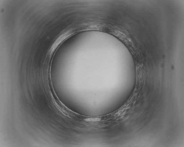 X0000062170051200512091101