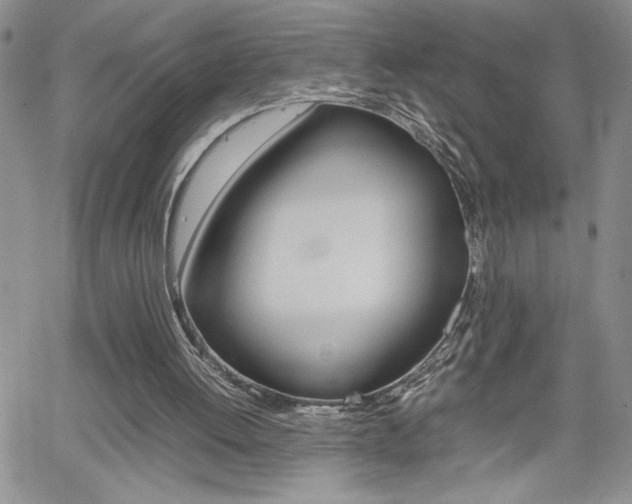 X0000062170052200512091101