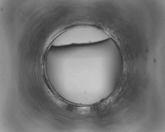 X0000062170053200512091101