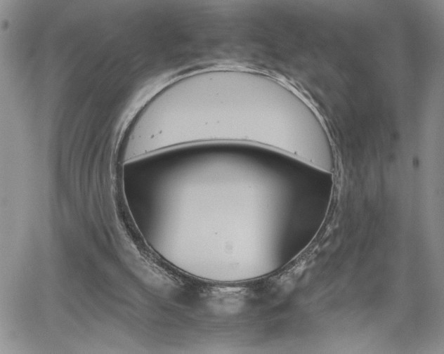 X0000062170055200512091101