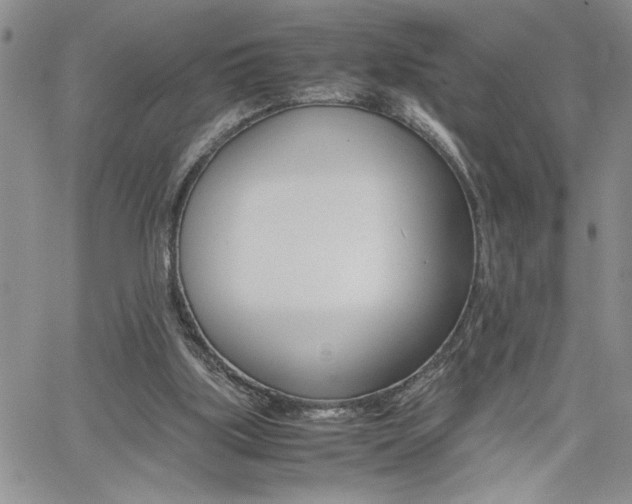 X0000062170059200512091101