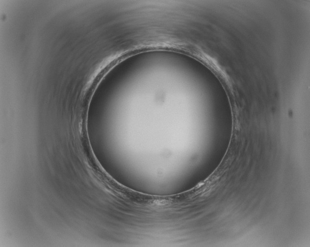 X0000062170060200512091101