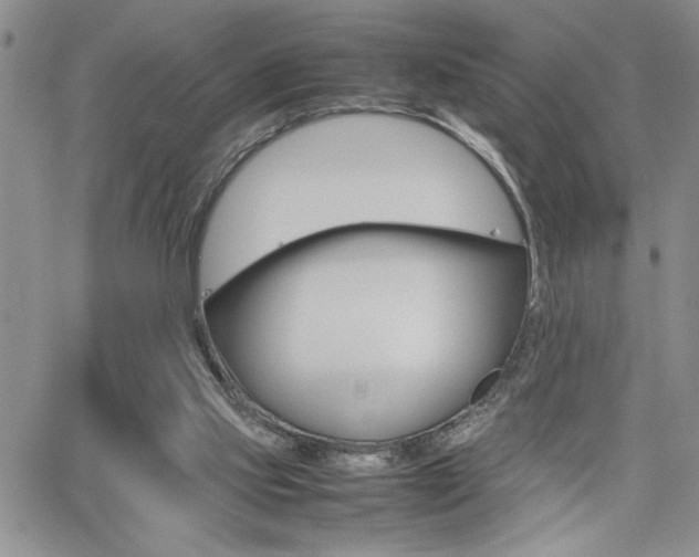 X0000062170061200512091101
