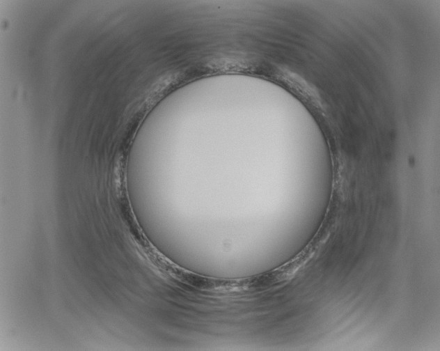 X0000062170065200512091101