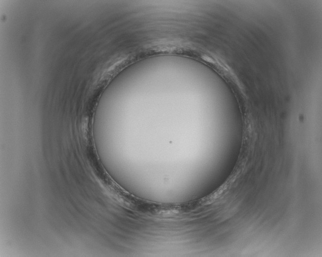 X0000062170066200512091101