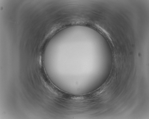 X0000062170067200512091101