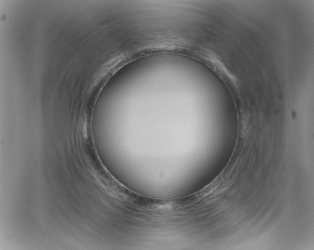 X0000062170068200512091101