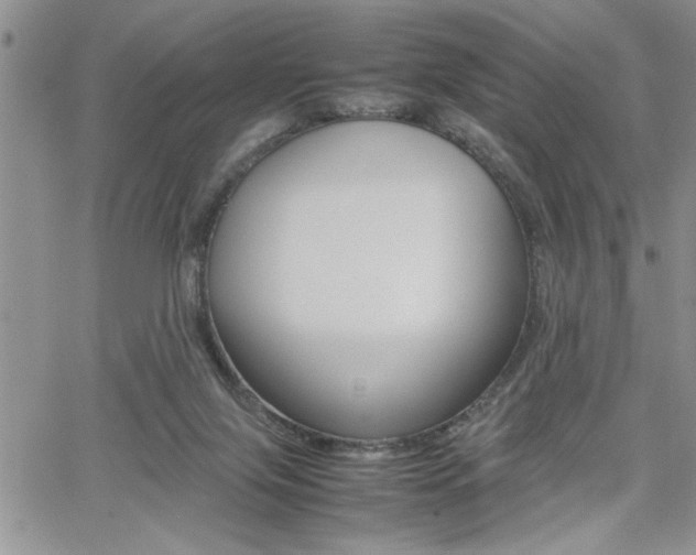 X0000062170071200512091101