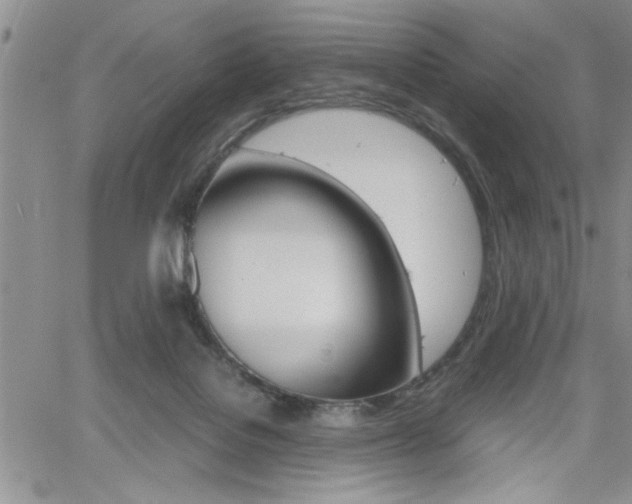 X0000062170076200512091101