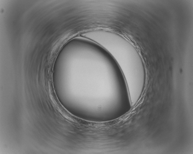 X0000062170097200512091101