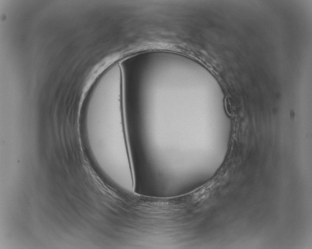 X0000062170104200512091101