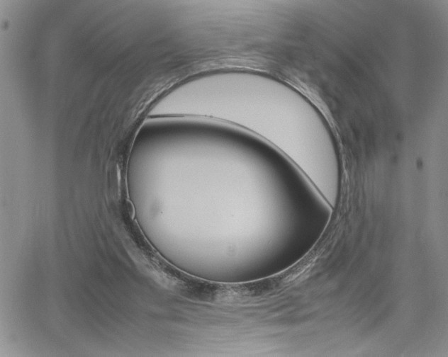X0000062170109200512091101