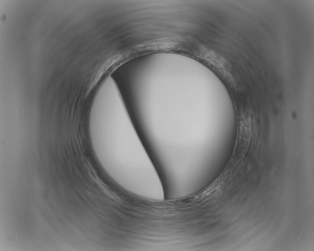 X0000062170110200512091101