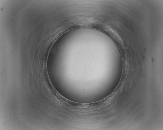 X0000062170113200512091101