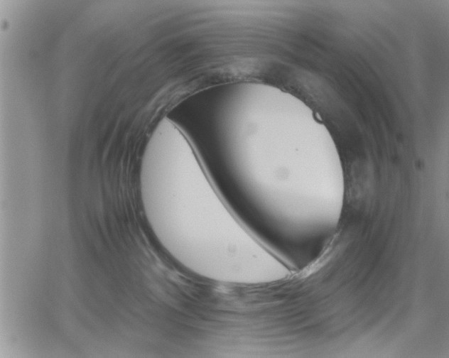 X0000062170140200512091100