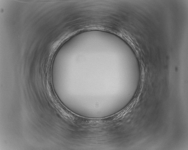 X0000062170145200512091059