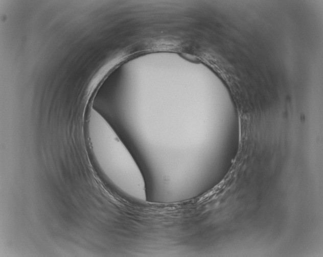 X0000062170147200512091059