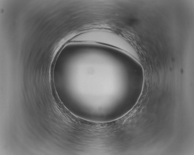 X0000062170148200512091059