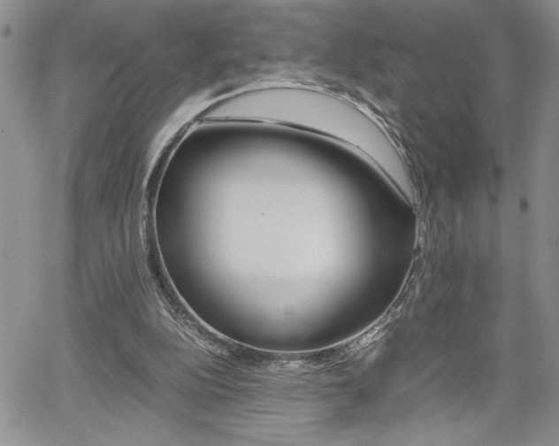 X0000062170152200512091100
